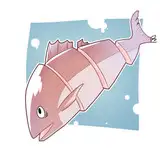おおサシミ