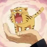 YummyTiger