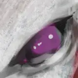 nytwolf