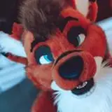 Xavoto