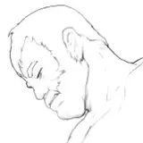 sesusu