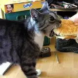 katsubao