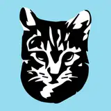 kittencreation
