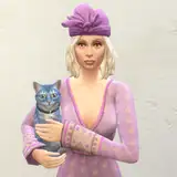 The Clutter Cat