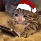 AnxietyOverlord