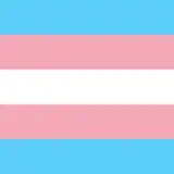 TheTransExperience
