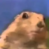 punishedvarmint