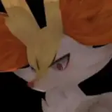Hiddenv1