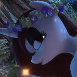 Velvet_Charm